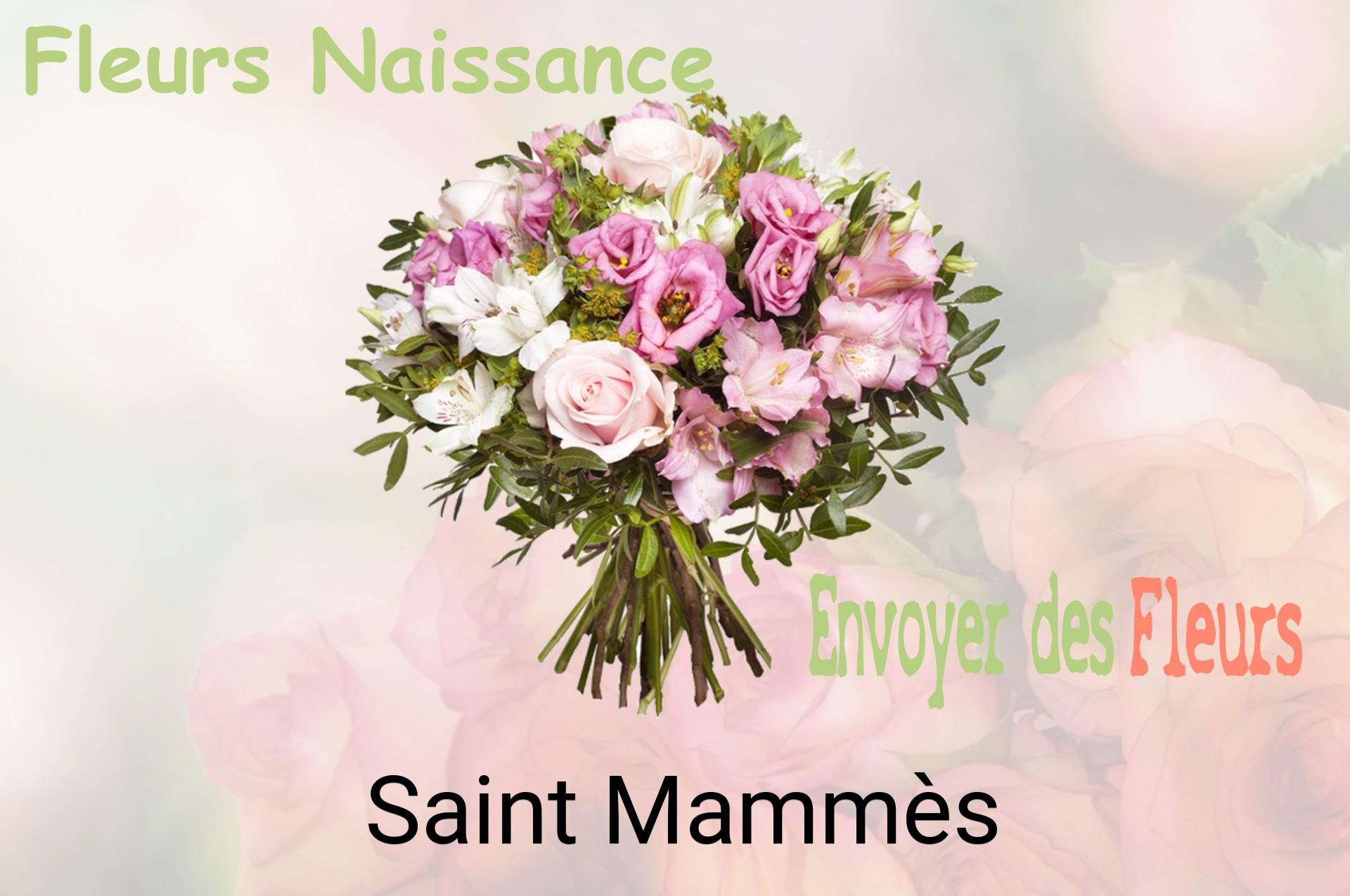 Bouquet de fleurs de naissance livré à Saint-Mammès